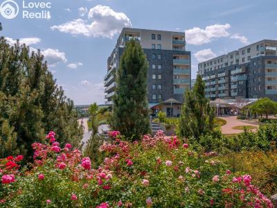 Prodej bytu 1+KK Praha, náměstí Junkových č. 19
