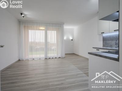 Pronájem bytu 1+KK Uhlířské Janovice, Hrnčířská č. 5