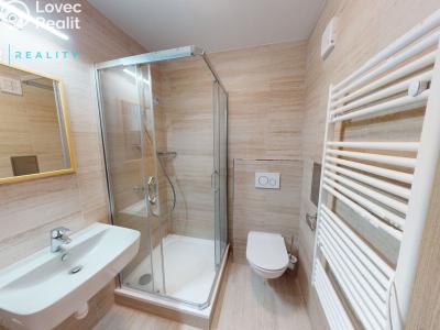 Аренда квартиры 1+1 Světlá nad Sázavou č. 4