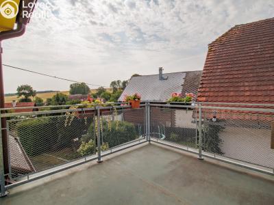 Sale farm Plánice č. 29
