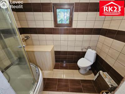 Sale hut Stříbro č. 12