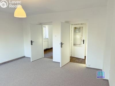 Аренда квартиры 2+1 Dobřany, Stromořadí 779 č. 2