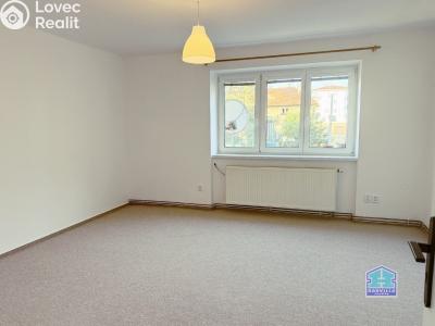 Аренда квартиры 2+1 Dobřany, Stromořadí 779 č. 3