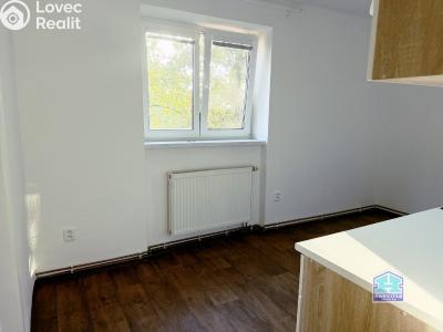 Аренда квартиры 2+1 Dobřany, Stromořadí 779 č. 6