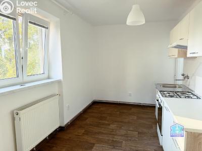 Аренда квартиры 2+1 Dobřany, Stromořadí 779 č. 7