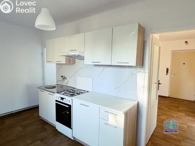 Аренда квартиры 2+1 Dobřany, Stromořadí 779 č. 8