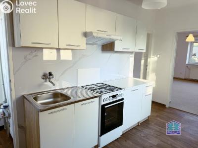 Аренда квартиры 2+1 Dobřany, Stromořadí 779 č. 9