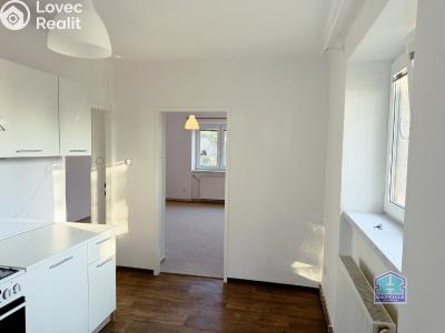 Аренда квартиры 2+1 Dobřany, Stromořadí 779 č. 10