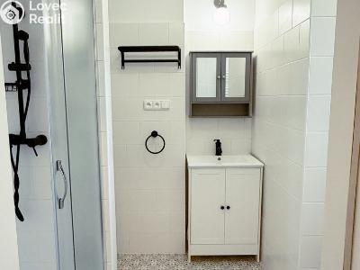 Аренда квартиры 2+1 Dobřany, Stromořadí 779 č. 17