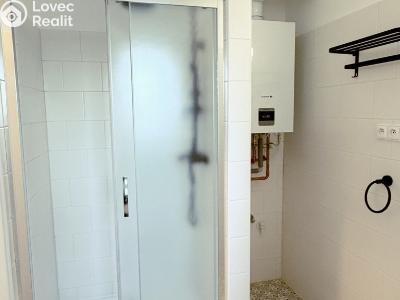 Аренда квартиры 2+1 Dobřany, Stromořadí 779 č. 19