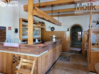 Pronájem ubytovacího zařízení Český Jiřetín č. 6