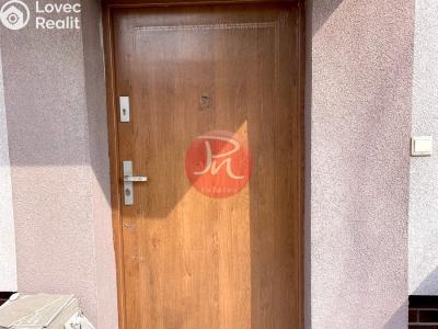 Pronájem rodinného domu Ostrava, Sabinova č. 9