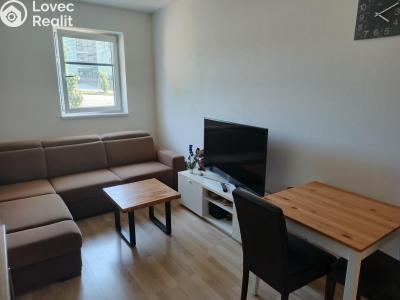 Rent apartment 2+KK Chýnov, Slunečný vrch č. 10