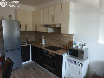Rent apartment 2+KK Chýnov, Slunečný vrch č. 15