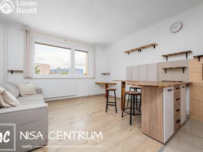 Rent apartment 2+KK Stráž pod Ralskem, Máchova 357 č. 3
