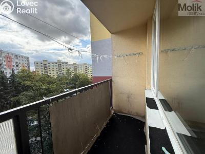 Prodej bytu 2+1 Chomutov, Dřínovská 4743 č. 5