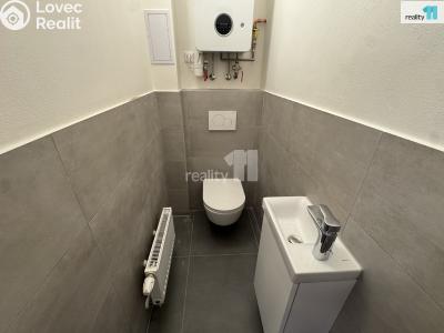 Аренда квартиры 3+1 Praha 2, Svatoplukova č. 9