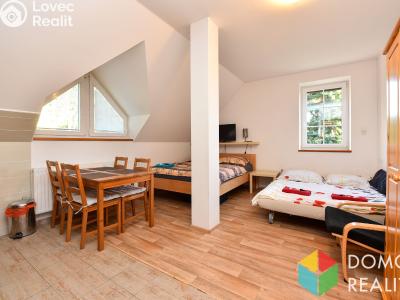 Продаж квартири 1+KK Černý Důl č. 7