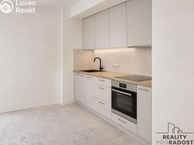 Аренда квартиры 1+KK Praha, Na Truhlářce č. 1