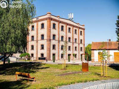 Rent office space Dašice, Štenclova 28 č. 1