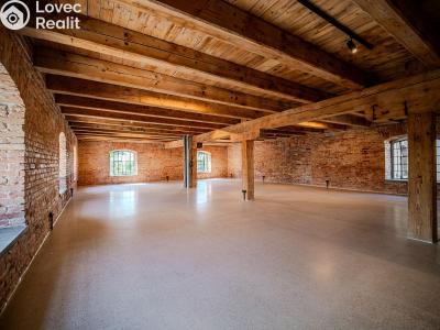 Rent office space Dašice, Štenclova 28 č. 2