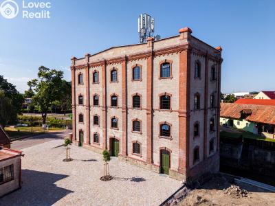 Rent office space Dašice, Štenclova 28 č. 3