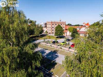 Rent office space Dašice, Štenclova 28 č. 5