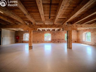 Rent office space Dašice, Štenclova 28 č. 7