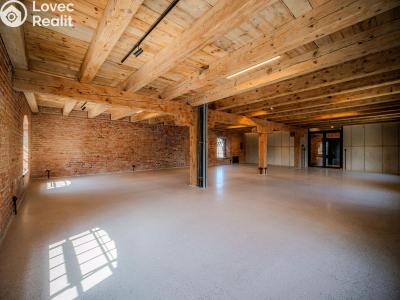 Rent office space Dašice, Štenclova 28 č. 9