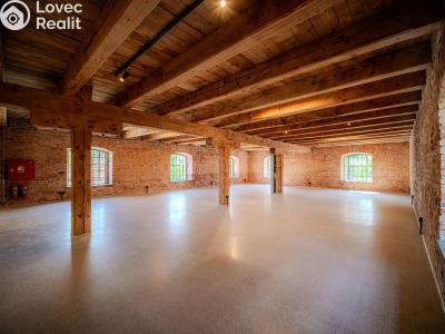Rent office space Dašice, Štenclova 28 č. 10