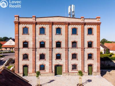 Rent office space Dašice, Štenclova 28 č. 12