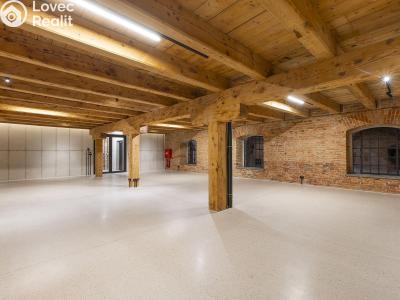 Rent office space Dašice, Štenclova 28 č. 15