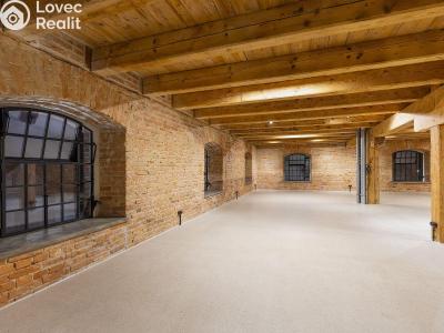 Rent office space Dašice, Štenclova 28 č. 16