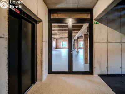 Rent office space Dašice, Štenclova 28 č. 19