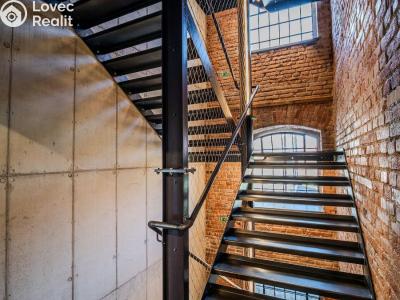 Rent office space Dašice, Štenclova 28 č. 21