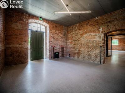 Rent office space Dašice, Štenclova 28 č. 22