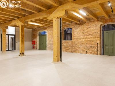 Rent commercial space Dašice, Štenclova 28 č. 2