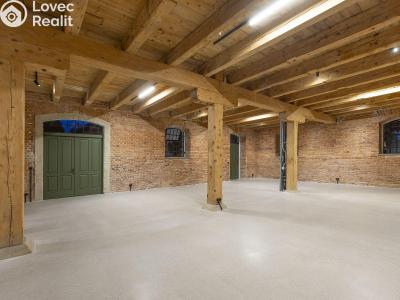 Rent commercial space Dašice, Štenclova 28 č. 4