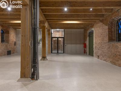Rent commercial space Dašice, Štenclova 28 č. 11