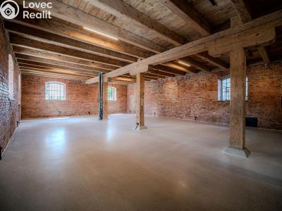 Rent commercial space Dašice, Štenclova 28 č. 12