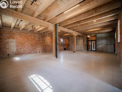 Rent commercial space Dašice, Štenclova 28 č. 13
