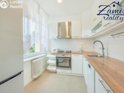 Sale apartment 3+KK Slaný, Pražská 322 č. 4