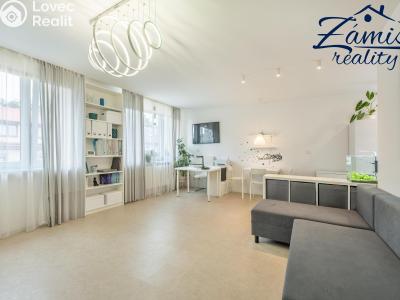 Sale apartment 3+KK Slaný, Pražská 322 č. 11