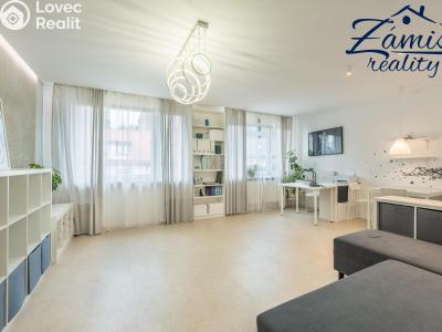Sale apartment 3+KK Slaný, Pražská 322 č. 14