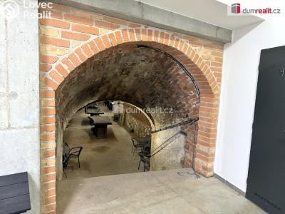Prodej komerční nemovitosti Pavlov, Česká č. 11