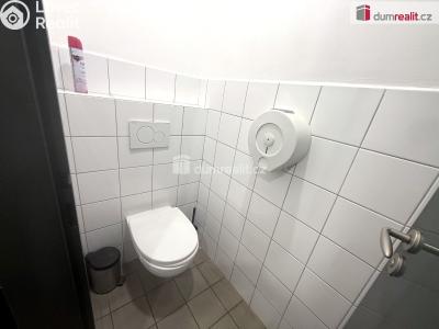 Prodej komerční nemovitosti Pavlov, Česká č. 16