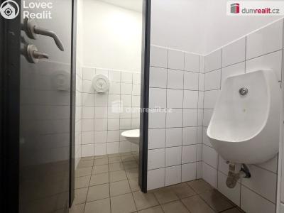 Prodej komerční nemovitosti Pavlov, Česká č. 17
