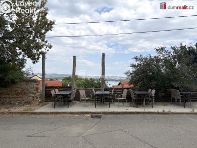 Prodej komerční nemovitosti Pavlov, Česká č. 21