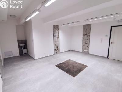 Pronájem komerční nemovitosti Sušice, Hrádecká 493 č. 2