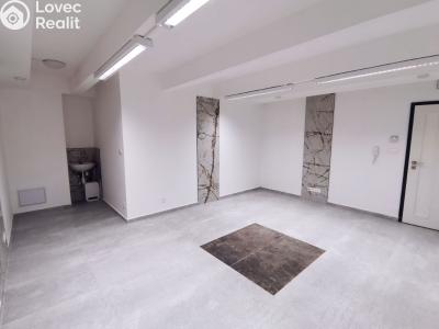 Pronájem komerční nemovitosti Sušice, Hrádecká 493 č. 4